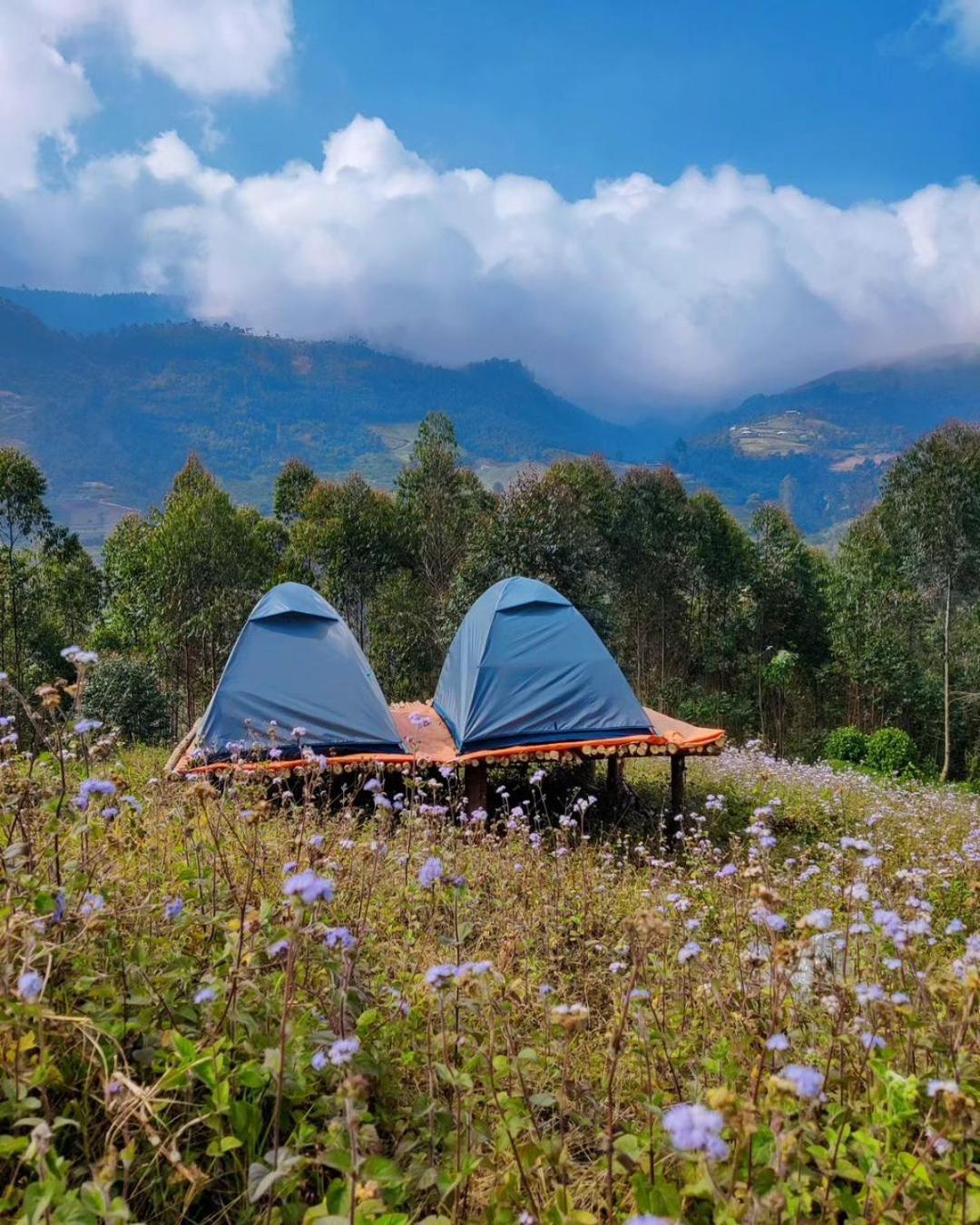 Roamrustic Camp Vattavada Munnar