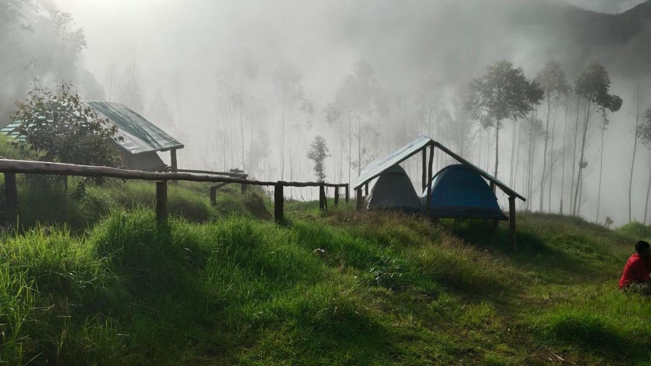 Campsite Roamrustic Camp Vattavada Munnar